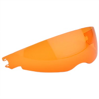 SIMPSON Interior Shield